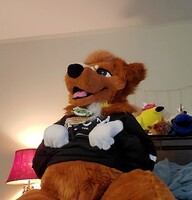 Waiting for tummy rubs