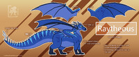 Raytheous Ref 2024