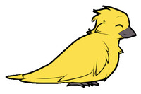 More Importantly: Meet Mochi!