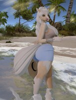 Walk on the Beach