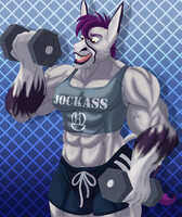 Jockass (SFW)