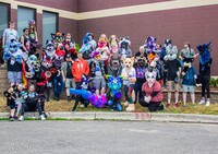 MNFurs June 2023 Oval Fur Meet SINGLE PIC