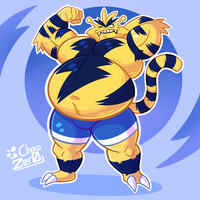Chonk Electabuzz