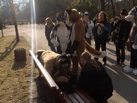 FEZ & PE 26/27.März 2011 Na wollen wir auch mitknuddeln?