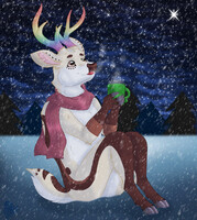 Lovely winter night(Secret santa)