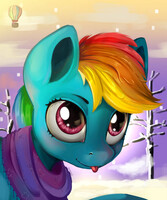 Winter Dashie