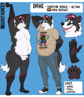 Bane Ref Sheet 2023