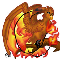 Kriever signature phoenix