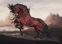 Horse adopt (closed)
