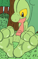 Unusual Treecko Part 2