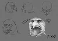 Eagle Practice