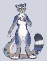 Cobalt Design {2023}