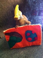 Paras with Paras card holder