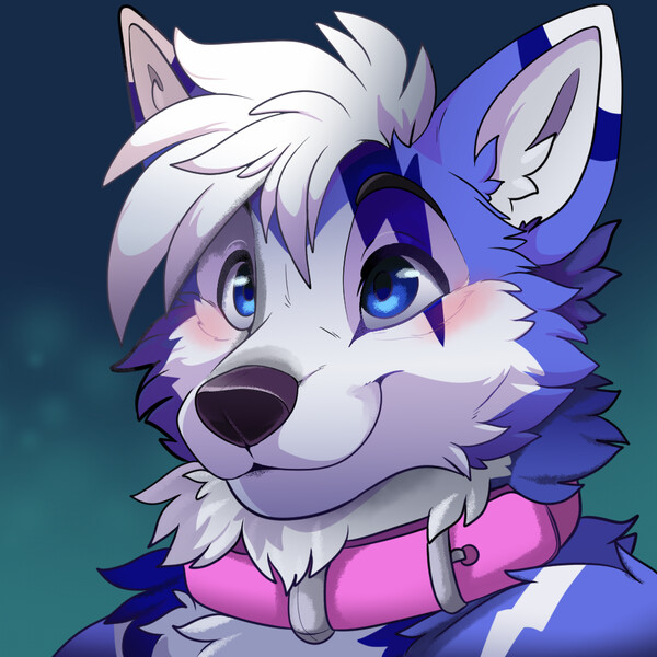 Artwork Gallery for Blu-Husky -- Fur Affinity [dot] net