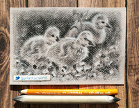 Ducks!