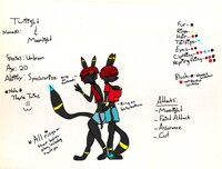 Make-shift ref sheet