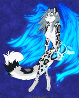 Weekly Wing-it: Mizumi