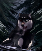 The Misfortune of Inexperience