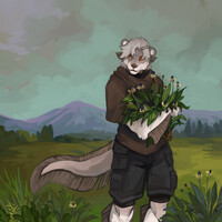Field | Complete YCH