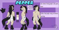 Pepper Official Ref Sheet