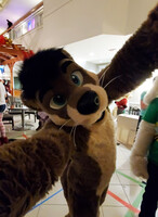 NYFB 2024 - Otter Coming In!