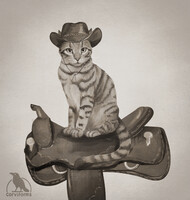 Cowboy Cat