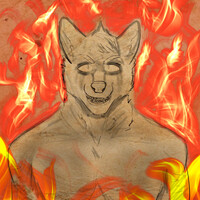 Into the fire portrait