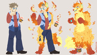 ive heard of firefox but this is too much