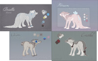 oc batch adopts (SOLD)