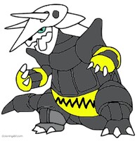 Shin the Aggron
