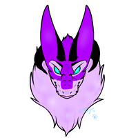 Sage Headshot
