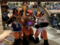 Three Little Problems