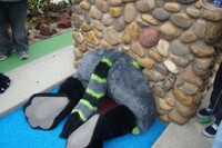 Leo's 3rd annual Minigolf - I think i can make it!