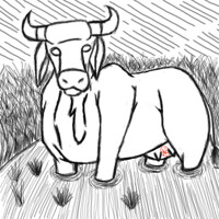 My fursona in feral form