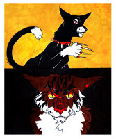 Scourdge and Tigerstar