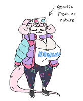 arcade rat