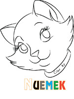 My New Signature