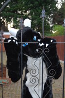 Don't let out - at all costs!