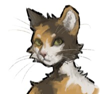 Cat sketch 2