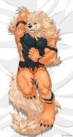 Kasai dakimakura - fullbody commission for Byte