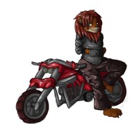 Biker lion, rawr!