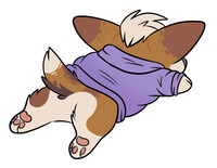 Pancake Flop