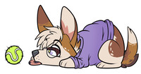 Bored Pancake