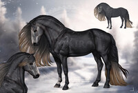 Horse Adopt (closed)