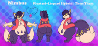 -C- Nimbus Reference Sheet
