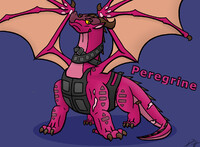 Peregrine