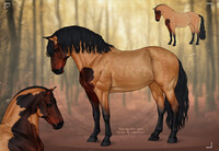 Horse Adopt (closed)