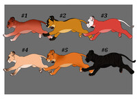 Lion Cubs - FIX OPEN 45