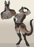 MUSUCLAR BROWN N ORANGE KANGAROO GUY +OPEN+