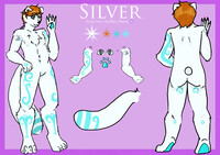 Silver reference